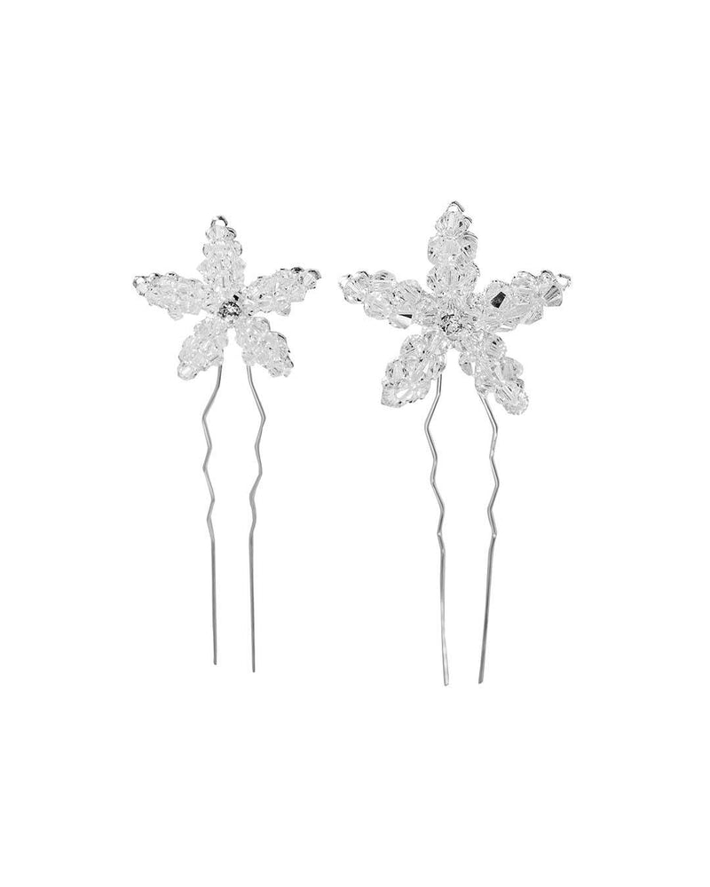 Forcina Noemi Strass - Alessandra Avallone