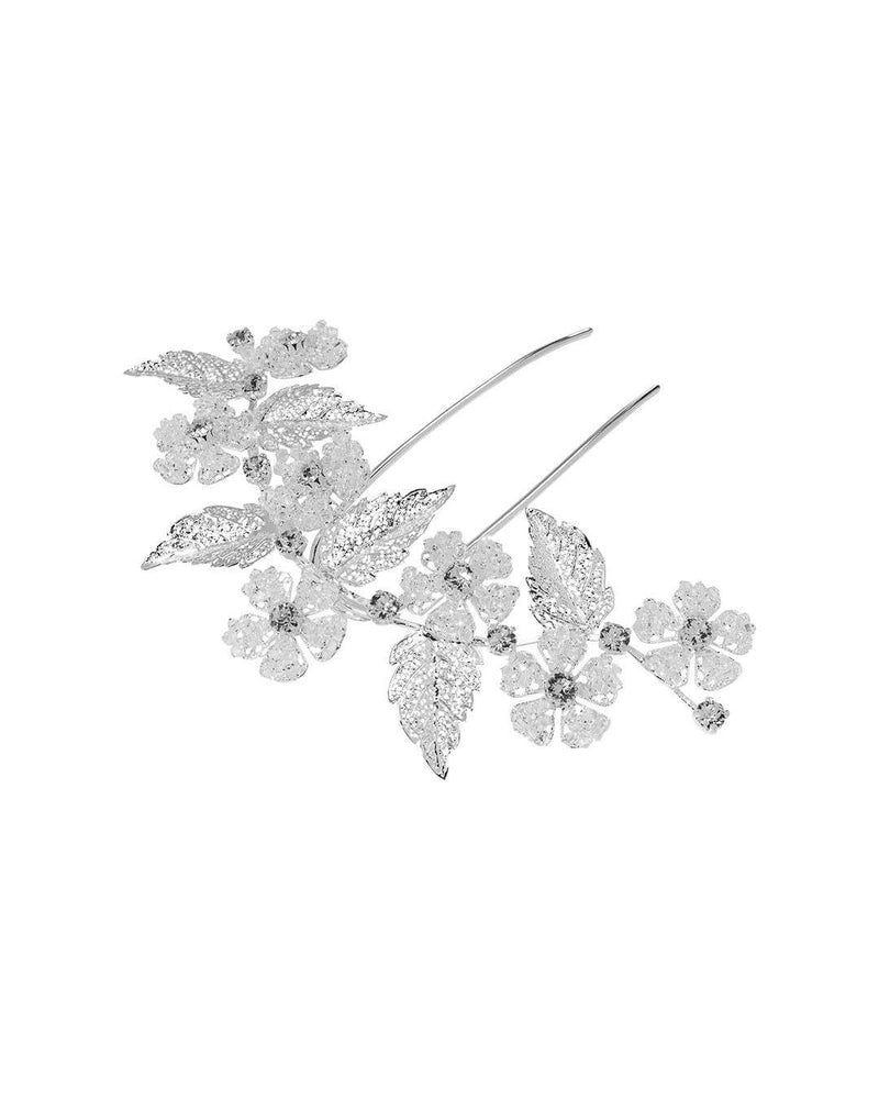 Forcina Elsa - Alessandra Avallone